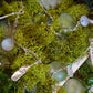 "she was a fairy" choker